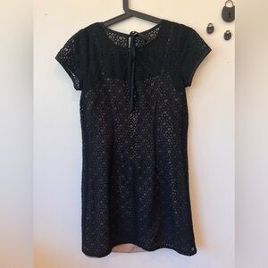 ANN TAYLOR LOFT Black Tan Eyelet Lace Overlay Dress Short Sleeve